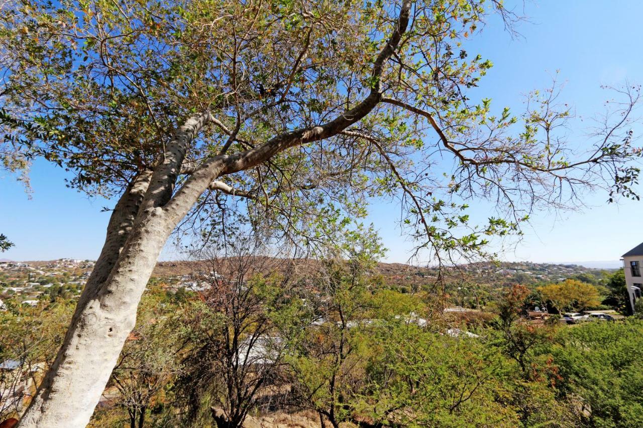 Herzinger Boutique Guesthouse Klein Windhoek Екстериор снимка