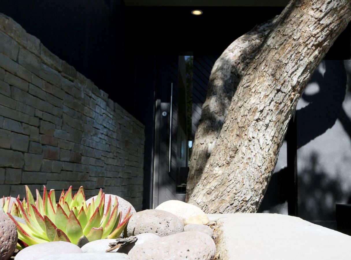 Herzinger Boutique Guesthouse Klein Windhoek Екстериор снимка